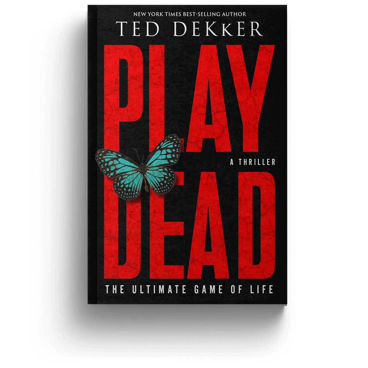 CHRISTIAN FICTION BUNDLE: Play Dead + The 49th Mystic + The Girl Behind the Red Rope
