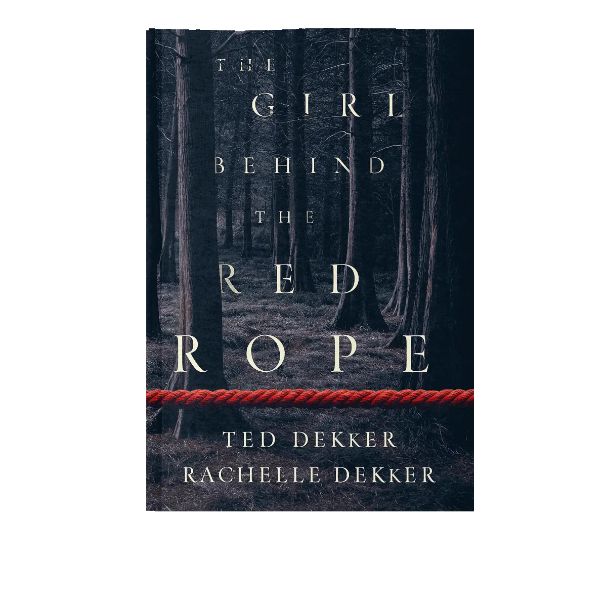 CHRISTIAN FICTION BUNDLE: Play Dead + The 49th Mystic + The Girl Behind the Red Rope